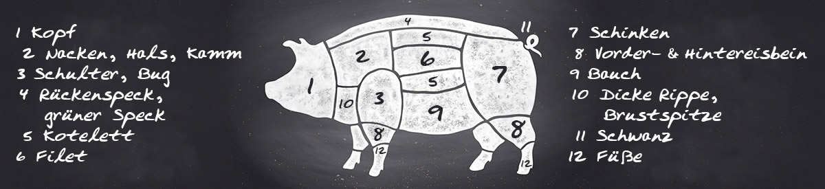Fleischkunde - Schwein
